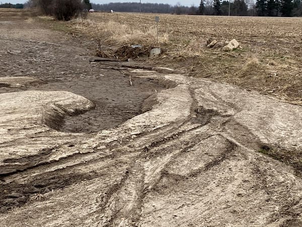 Erosion concerns raised over Wilmot land-grab site stripped of crops