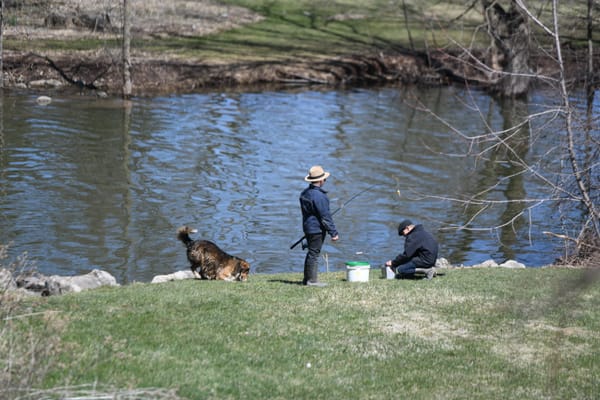 MNR investigates illegal fishing for pike in Floradale
