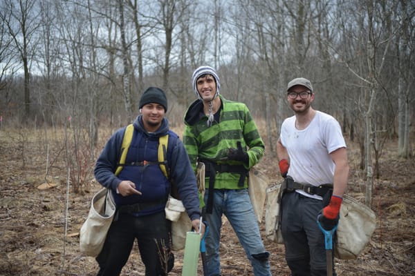 ReForest Woolwich looks to boost tree canopy