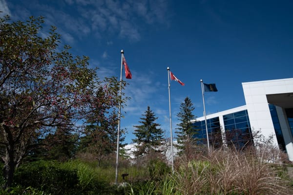 Paddlers account for almost half of boating deaths, police report