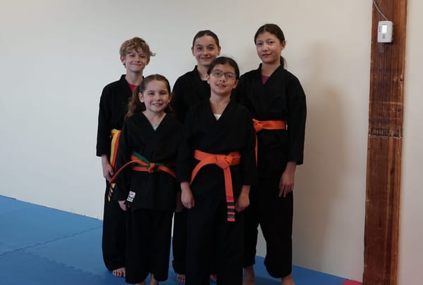 Local karate students claim medals at Listowel tournament
