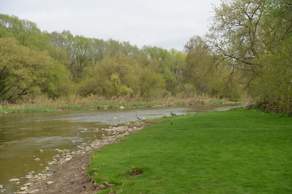 Friends of the Grand River to plant trees this weekend