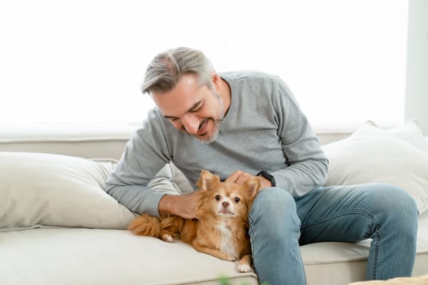 Why dogs are good for your health