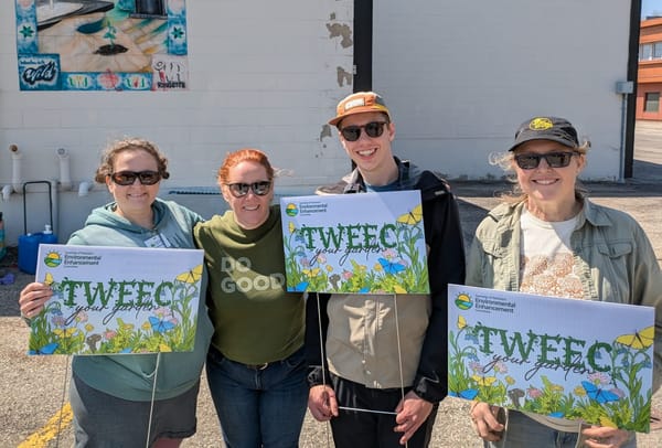 Make your garden more pollinator friendly with a few TWEECs