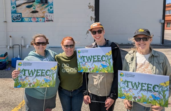 Make your garden more pollinator friendly with a few TWEECs