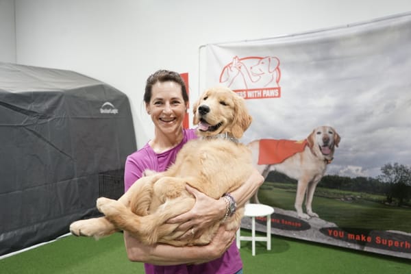 Dances with dogs … and other canine adventures