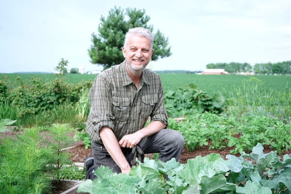 Ten years on, community garden at Elmira church proves popular