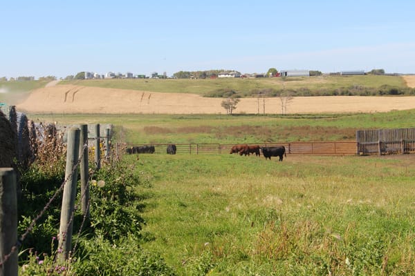 OSCIA to release fifth iteration of Environmental Farm Plan