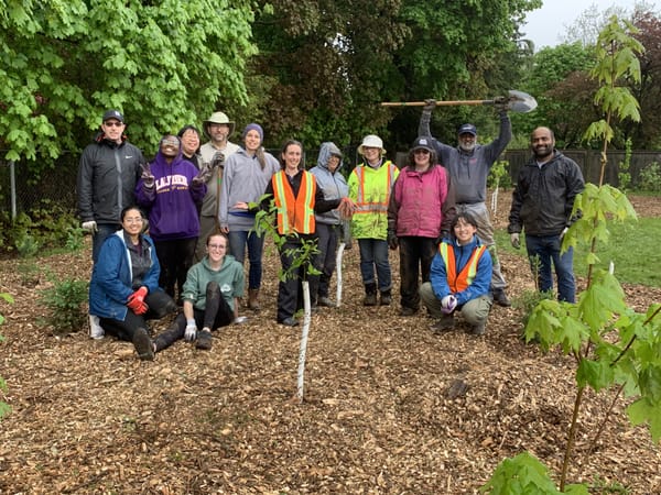 Microforest project a good fit for Woolwich