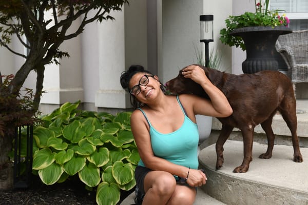 Ducklings in distress prompt woman into action