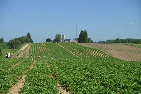 Ontario Green Party leader drumming up support for foodbelt bill over the summer