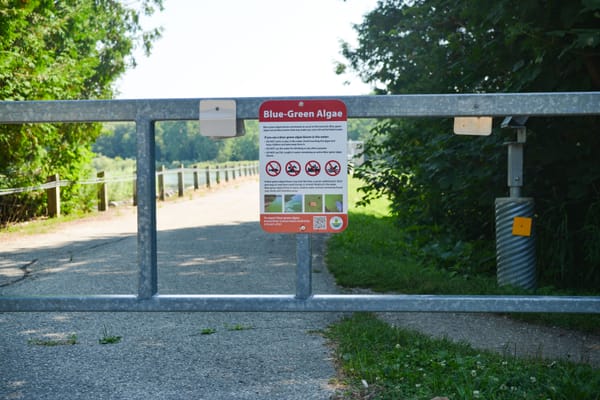 GRCA issues reminder about avoiding blue-green algae