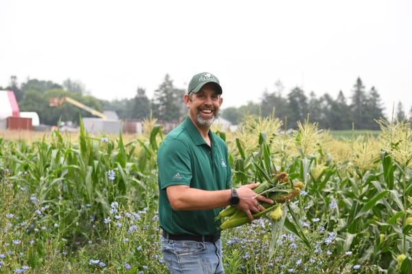 Where a local tradition meets what innovation does well