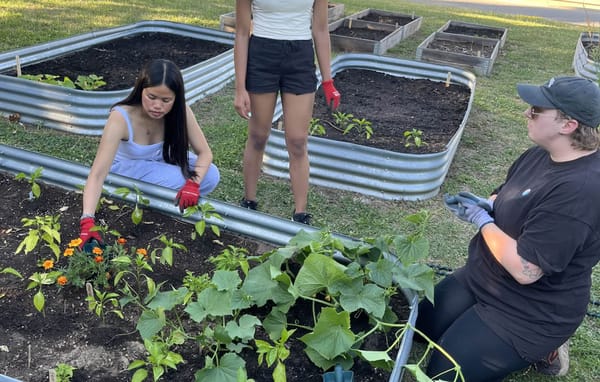 Food markets provide young people with a full-range of skills