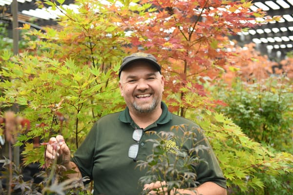 As the leaves fall, it’s a good time to put down roots