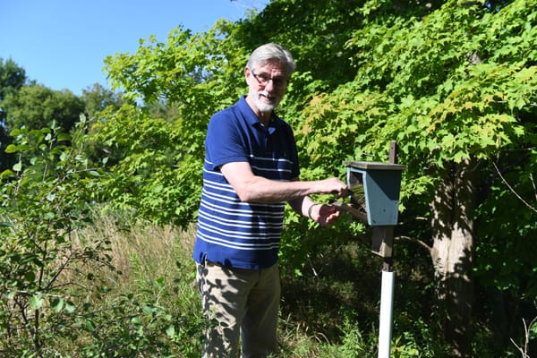 Local bluebirds have a new champion