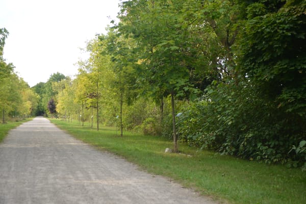 Trees for Woolwich plan giveaway sessions in Breslau and Elmira