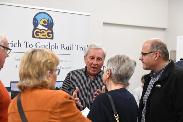 Wallenstein bridge project draws big crowd to discuss options