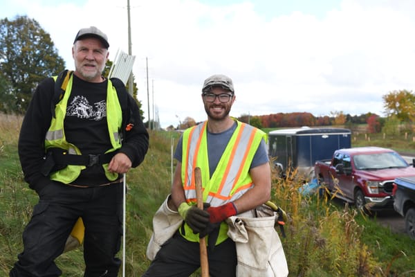 Trees for Woolwich set to wrap up roadside planting project Nov. 7