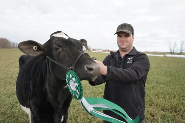 4-H member and his calf get a warm welcome at the Royal
