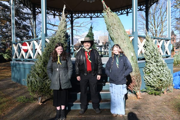 Scouting out a fresh Christmas tree