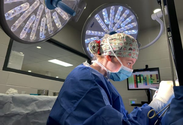 New research focuses on breathing issues associated with pug-nosed dogs