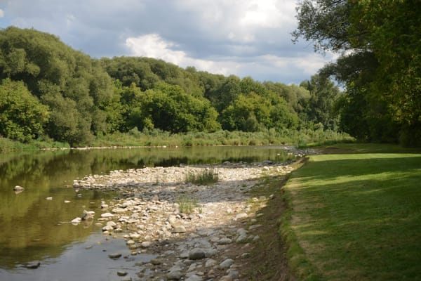 Waterways the focus of Woolwich reforestation efforts