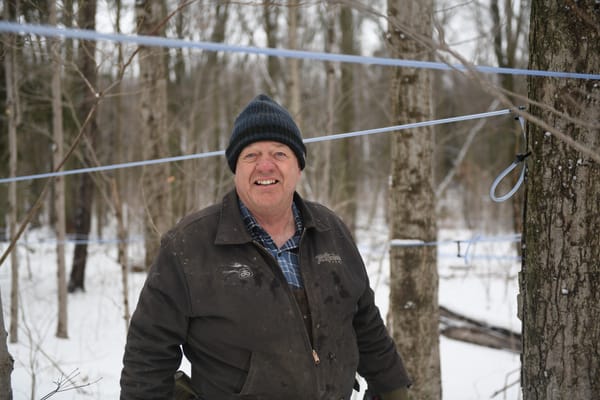 The running of the sap never gets old