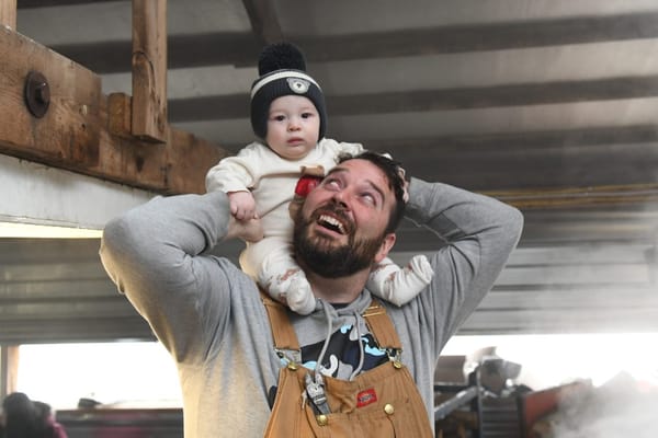 Revelling in the bounty of tapped maple trees