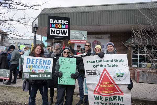 Elmira takes part  in province-wide protest of Ford government