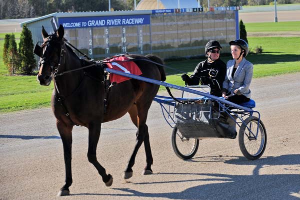 Premier pledges $400M transitional funding for horseracing industry