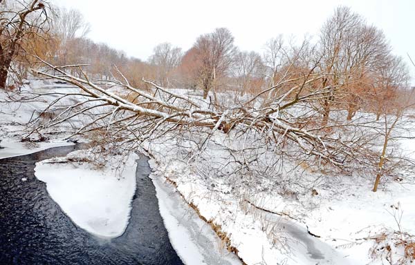 Cleanup continues from pre-Christmas ice storm