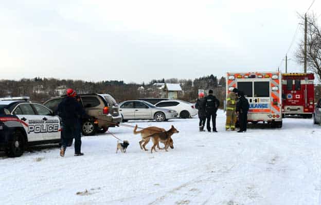 Man falls in water attempting to rescue dog