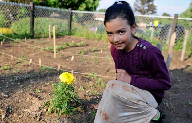 Elmira and District Horticultural society ready to celebrate Ontario Garden Week
