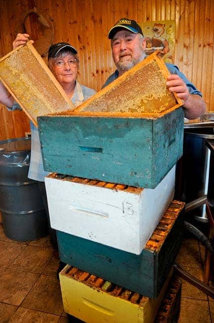 Protecting bee populations