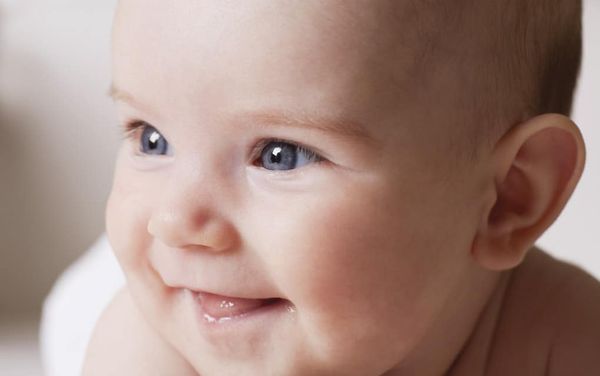 WCS launches program to help new parents