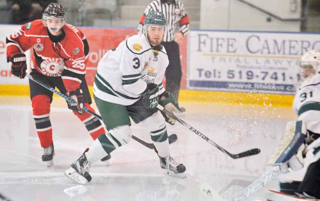Elmira Sugar Kings split a pair in weekend action
