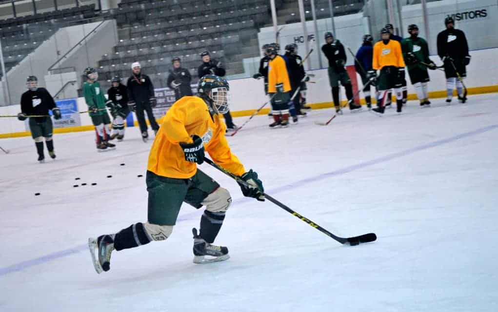 Recent partnership off to a good start for the Junior Sugar Kings