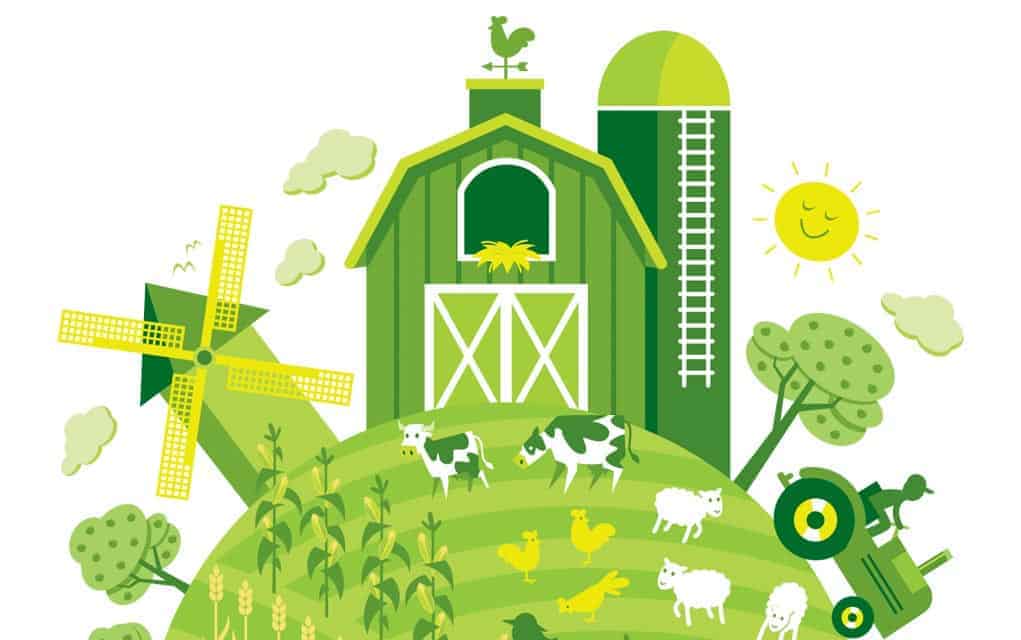 Farm employment numbers on the rise in the townships