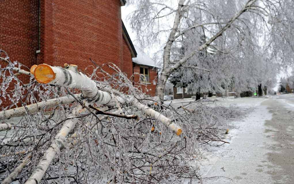 Time to embrace reality that climate change is here to stay