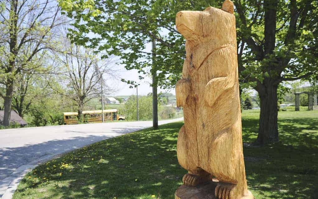 Hawkesville bear carving