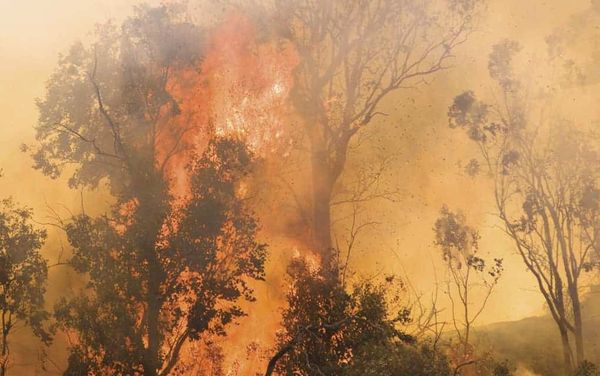 Local groups quick to help Fort Mac