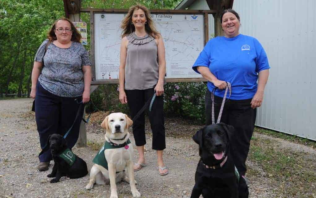 Taking the dog for a walk … and a little more