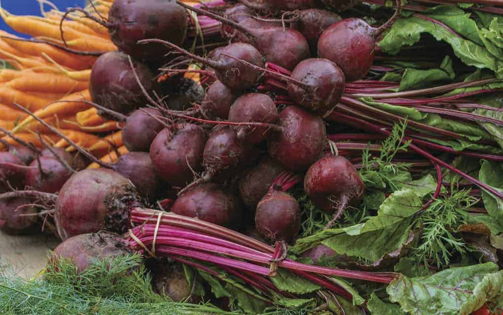 Plenty of recipe options for using fresh local produce