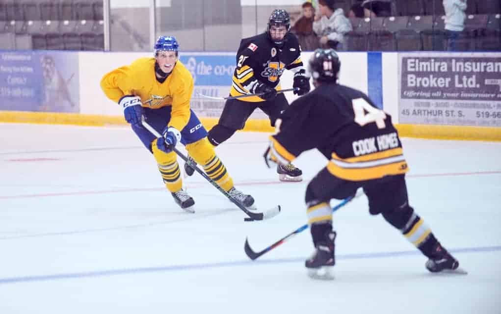 Exhibition schedule a good chance for Kings coaching staff to assess prospects and lines in real game situations