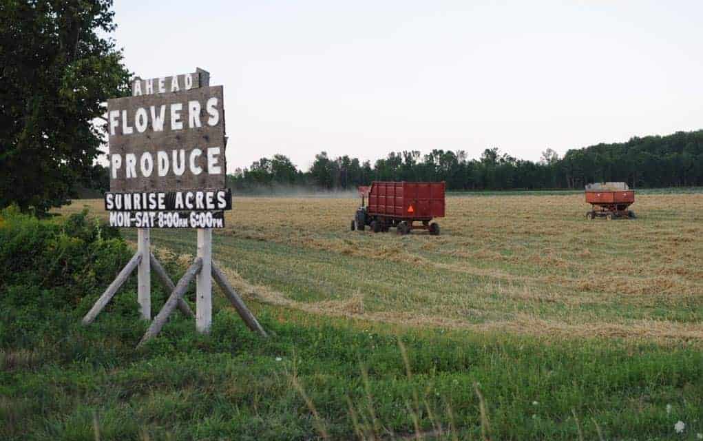 New provincial co-op group interested in making hay