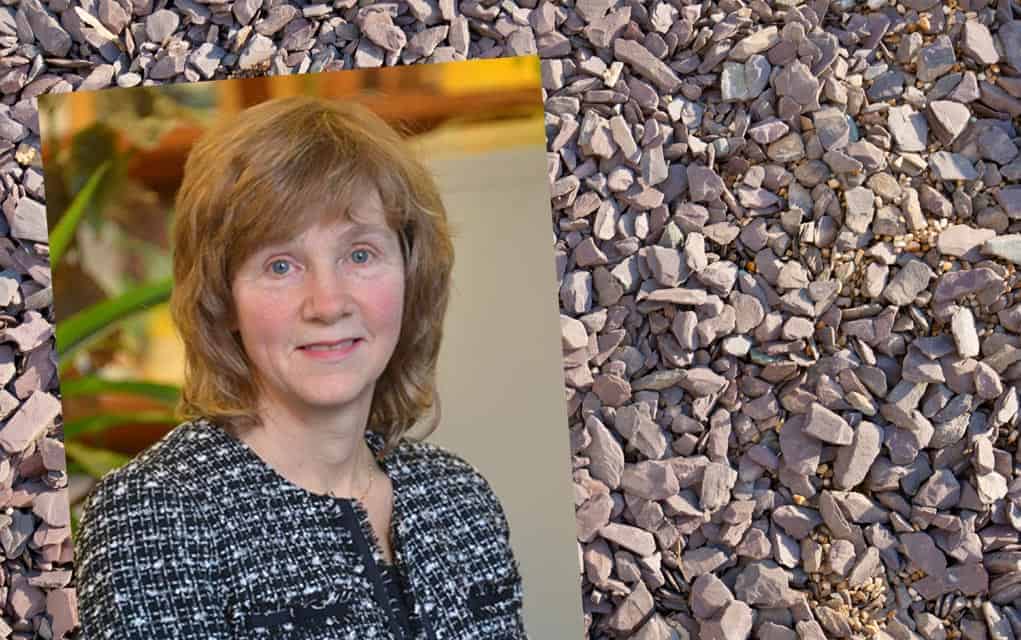 Deputy Environmental Commissioner to speak at Gravel Watch event