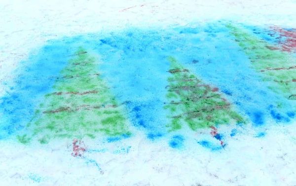 Community groups have a blooming winter in store for Family Day at Elmira’s WMC