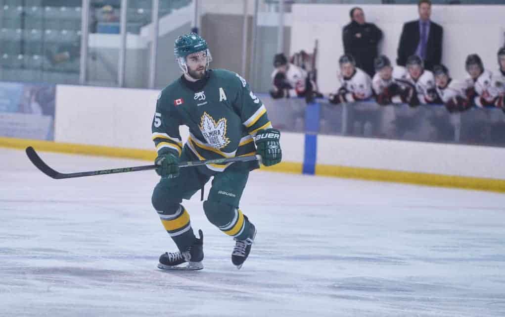 Kings split weekend games, drop to second place