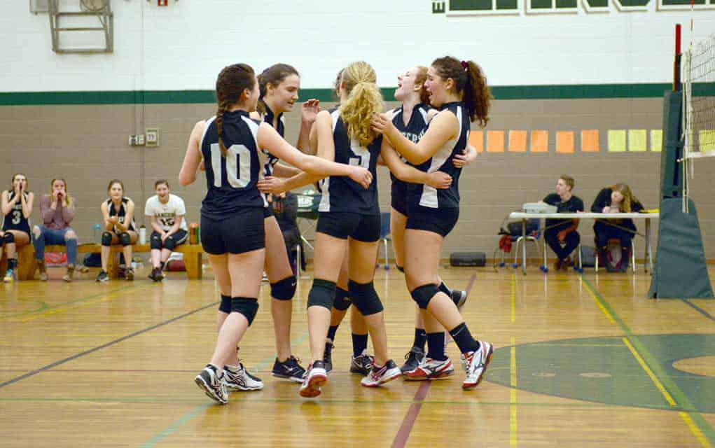 EDSS senior girls volleyball squad earn spot in quarter-finals